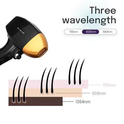Custom Epilator Penghilang Rambut Tanpa Nyeri Permanen 808nm Diode Laser Penghilang Rambut Sistem Penghilang Rambut Badan